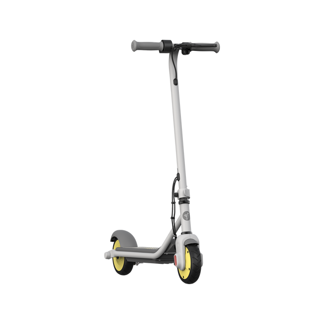 Segway-Ninebot eKickscooter Zing C8 schuin