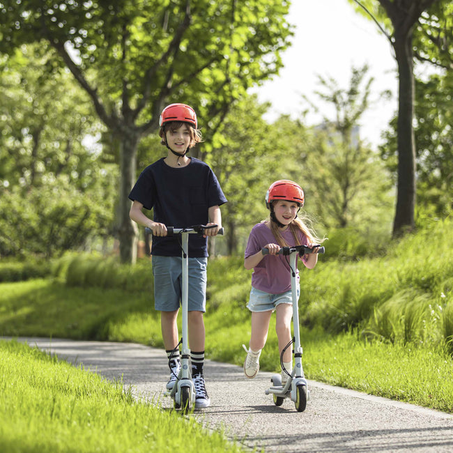 Segway-Ninebot eKickscooter Zing C8 lifestyle